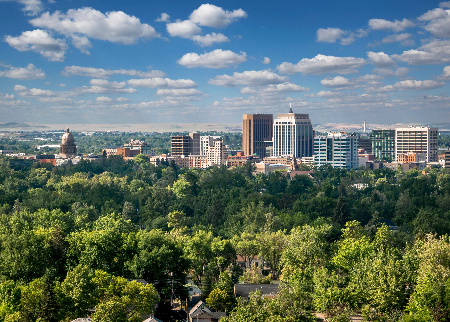 Boise - The City of Trees